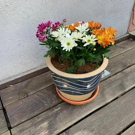 Apartament Loftwohnung In Einer Preisgekroenten Denkmalhofreite