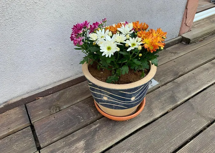 Apartamento Loftwohnung In Einer Preisgekroenten Denkmalhofreite